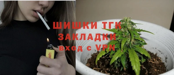 ГАЛЛЮЦИНОГЕННЫЕ ГРИБЫ Вязники