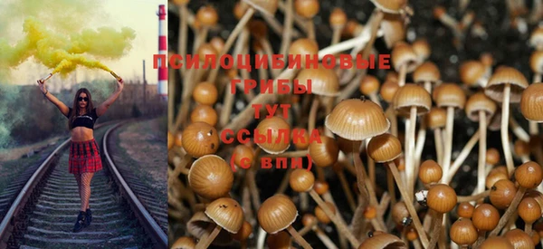 mdma Горняк