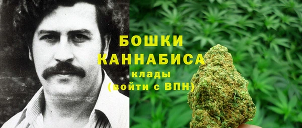 винт Гусиноозёрск
