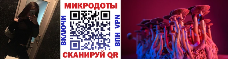 Псилоцибиновые грибы Psilocybine cubensis  Купить где  Нюрба 