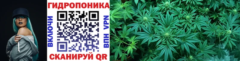 Купить  Нюрба  Конопля LSD WEED 
